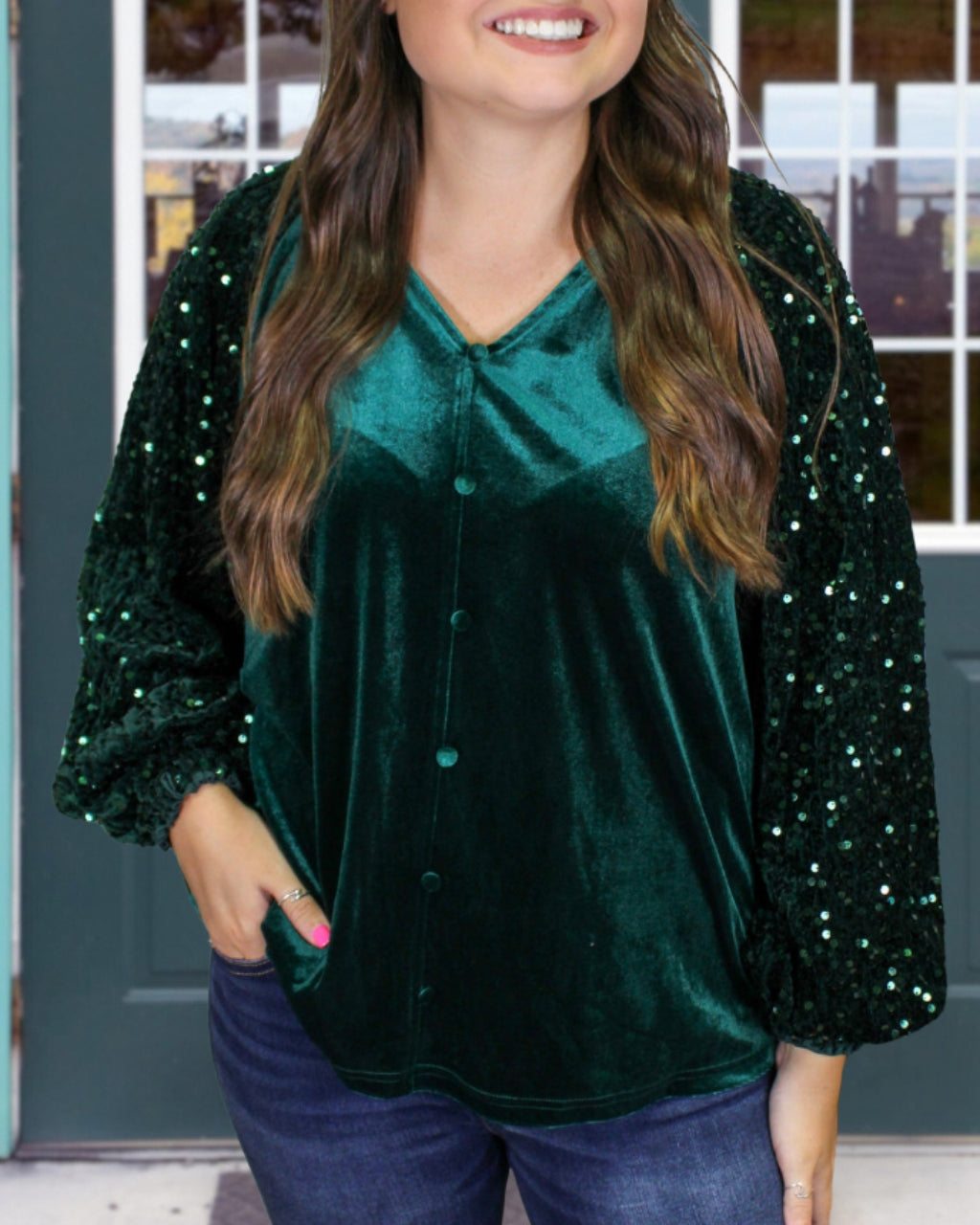 Elegant Sparkle Sleeve Velvet Blouse